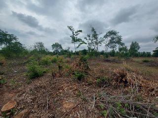 For sale land in Mueang Nong Khai, Nong Khai