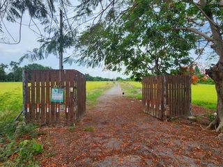 For sale land in Nong Khae, Saraburi