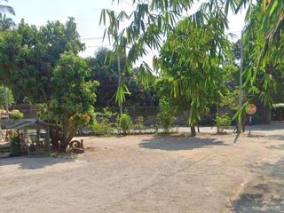 ขาย ที่ดิน ใน ท่ามะกา, กาญจนบุรี