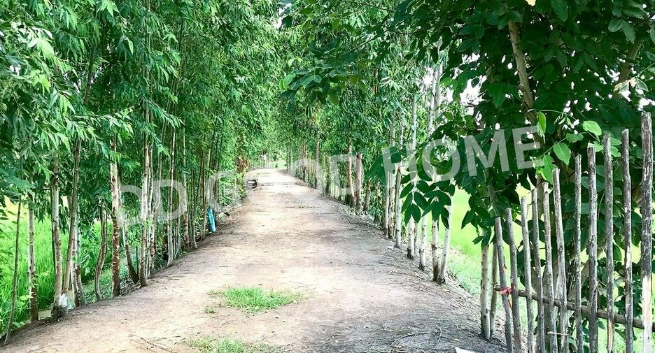 For sale land in Mueang Maha Sarakham, Maha Sarakham