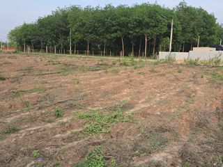 For sale land in Plaeng Yao, Chachoengsao