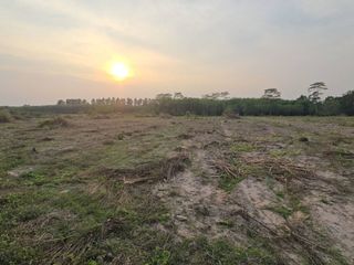 For sale land in Plaeng Yao, Chachoengsao