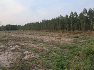 For sale land in Plaeng Yao, Chachoengsao