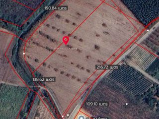 For sale land in Plaeng Yao, Chachoengsao