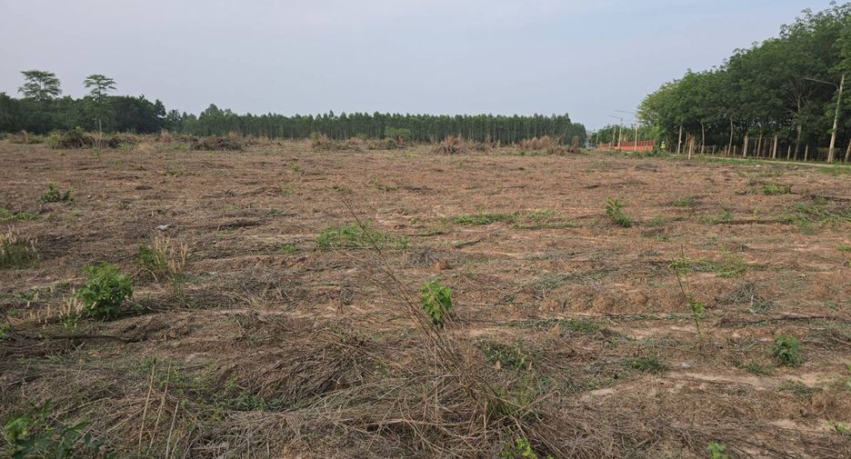À vendre terrain à Plaeng Yao, Chachoengsao