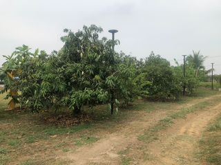 For sale land in Pak Tho, Ratchaburi