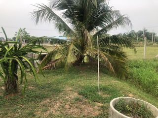 For sale land in Pak Tho, Ratchaburi
