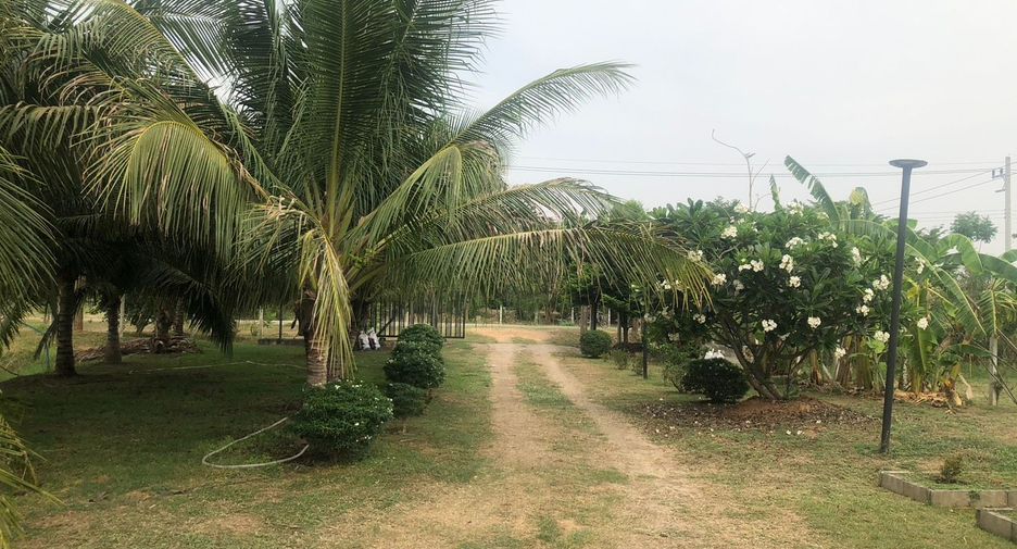 For sale land in Pak Tho, Ratchaburi
