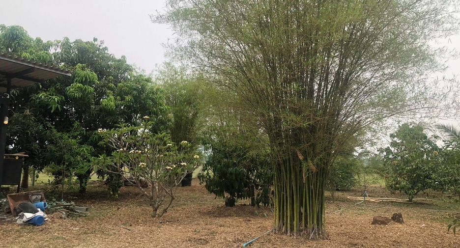 For sale land in Pak Tho, Ratchaburi
