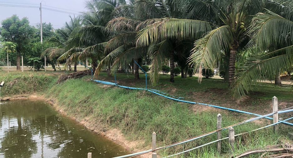For sale land in Pak Tho, Ratchaburi