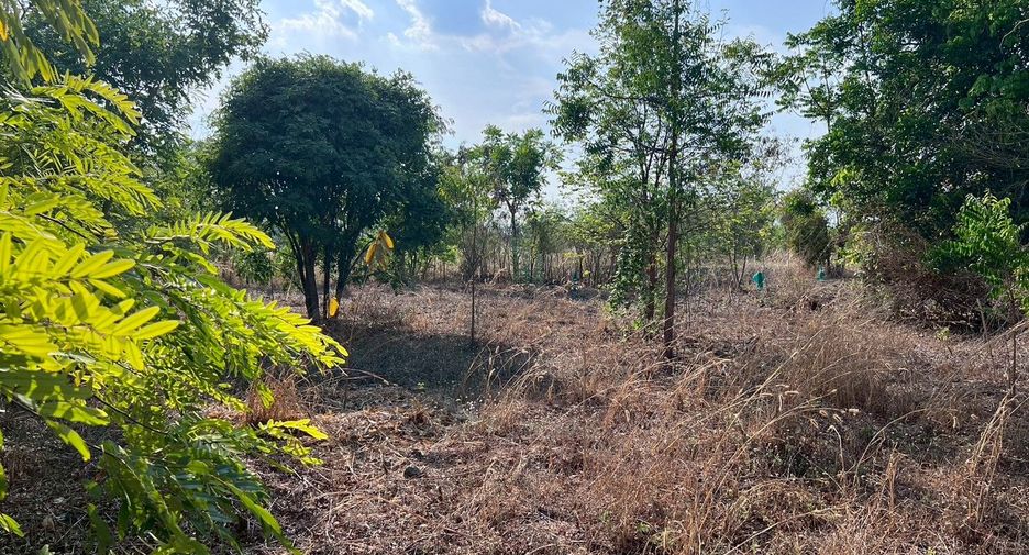 For sale land in U Thong, Suphan Buri