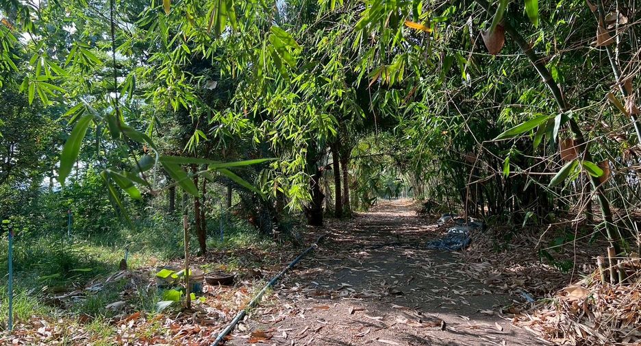 For sale land in U Thong, Suphan Buri