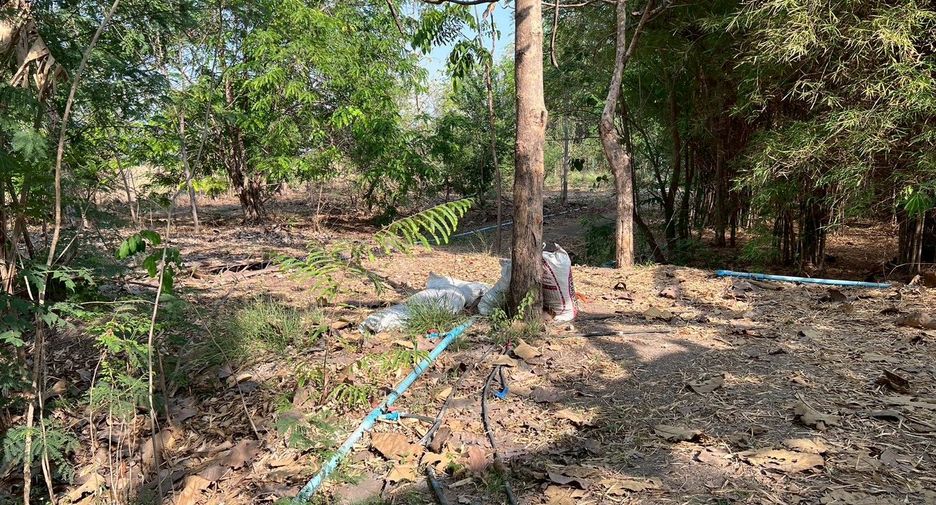 For sale land in U Thong, Suphan Buri