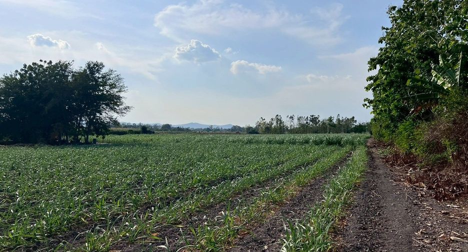 For sale land in U Thong, Suphan Buri