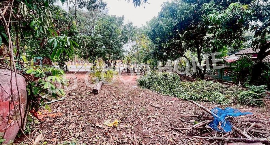 Terreno en venta en Non Sa-at, Udon Thani