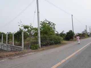 For sale land in Bang Sai, Phra Nakhon Si Ayutthaya