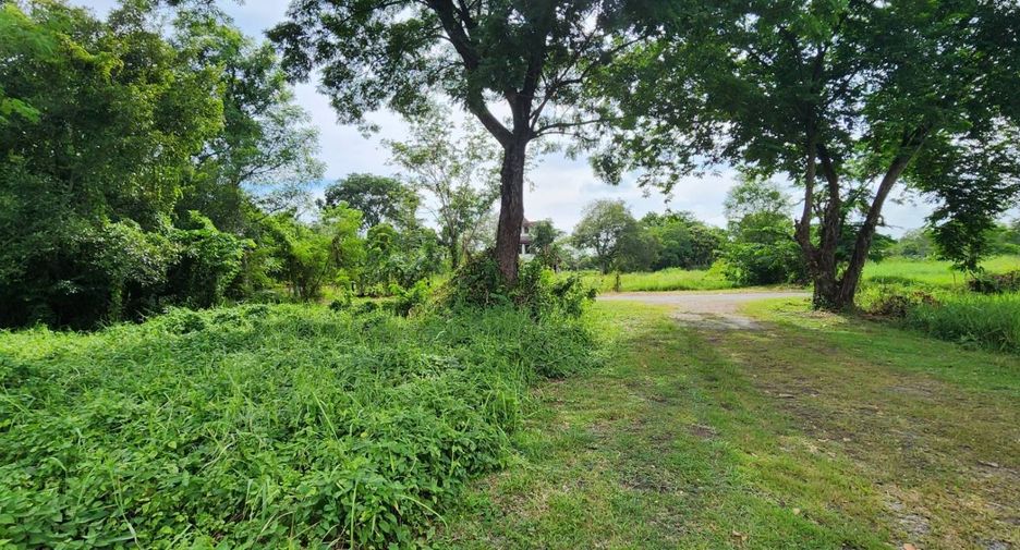 ขาย ที่ดิน ใน บ้านนา, นครนายก