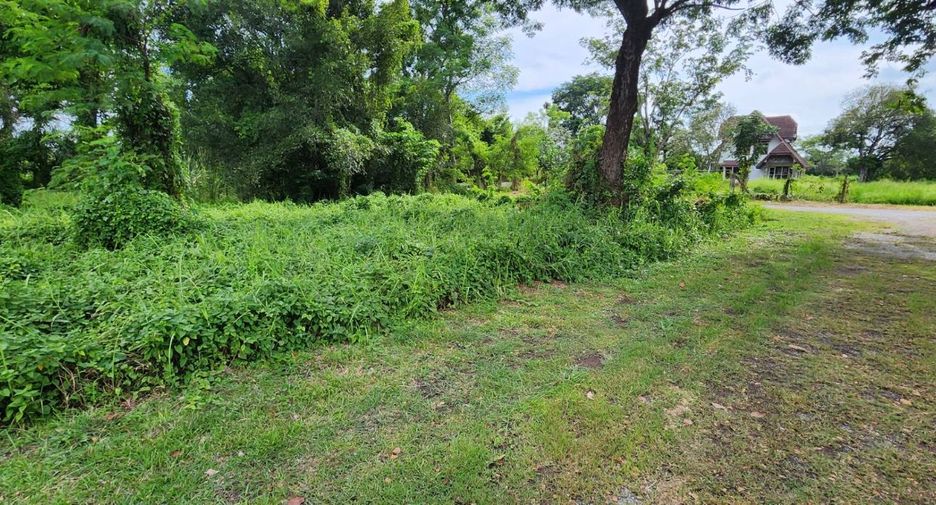 ขาย ที่ดิน ใน บ้านนา, นครนายก