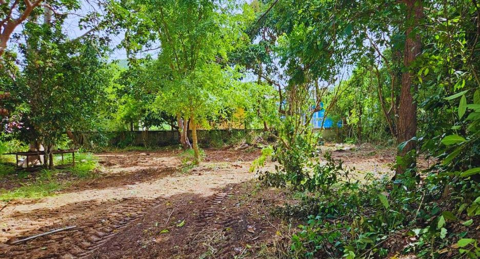 ขาย ที่ดิน ใน บ้านนา, นครนายก