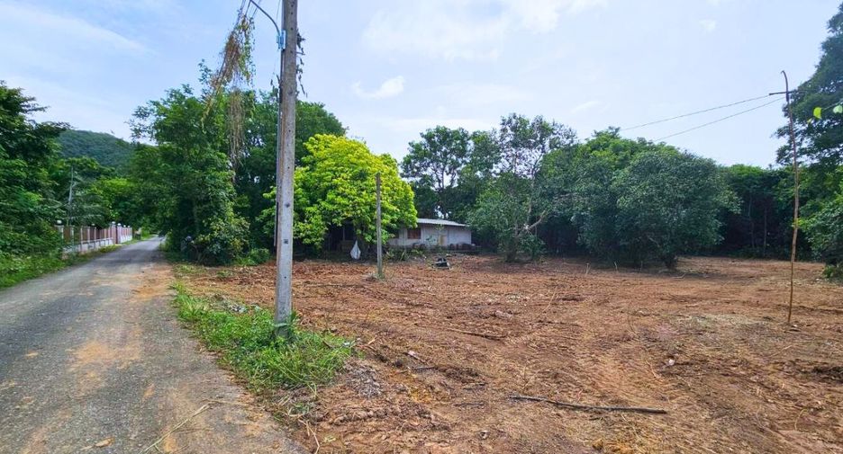 ขาย ที่ดิน ใน บ้านนา, นครนายก