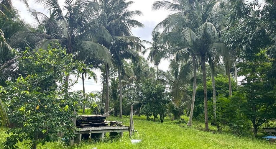 Terreno en venta en Thai Mueang, Phang Nga