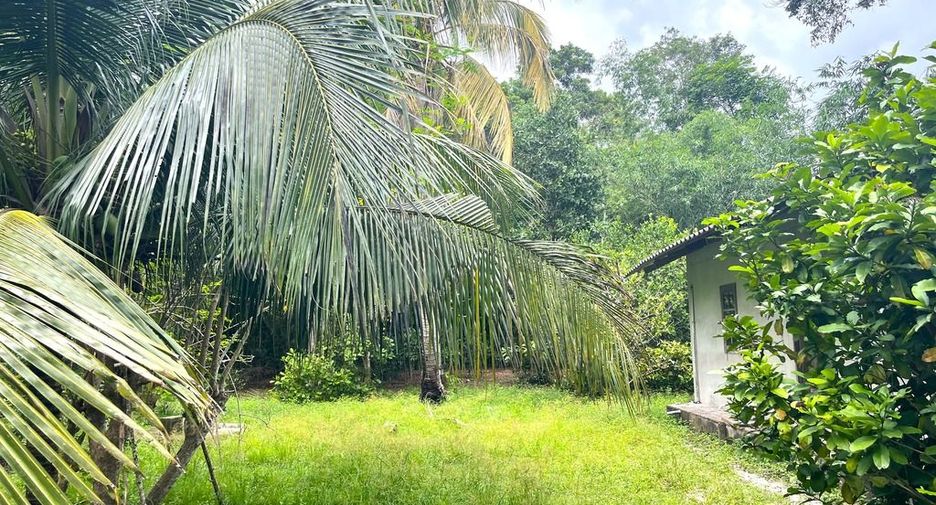 Terreno en venta en Thai Mueang, Phang Nga