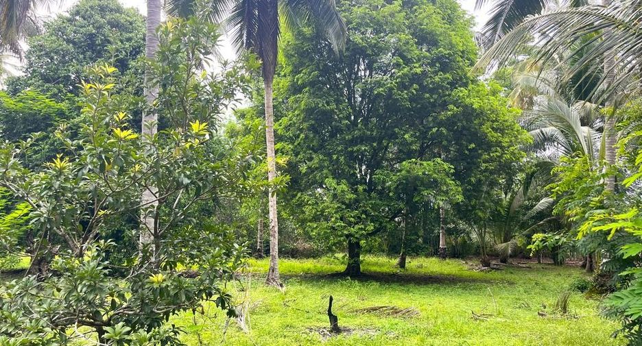 Terreno en venta en Thai Mueang, Phang Nga