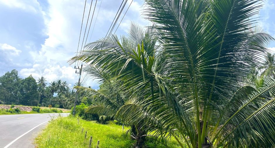 Grundstück zum Kauf in Thai Mueang, Phang Nga