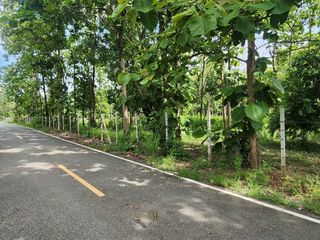 For sale land in Mae On, Chiang Mai