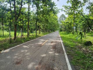 For sale land in Mae On, Chiang Mai