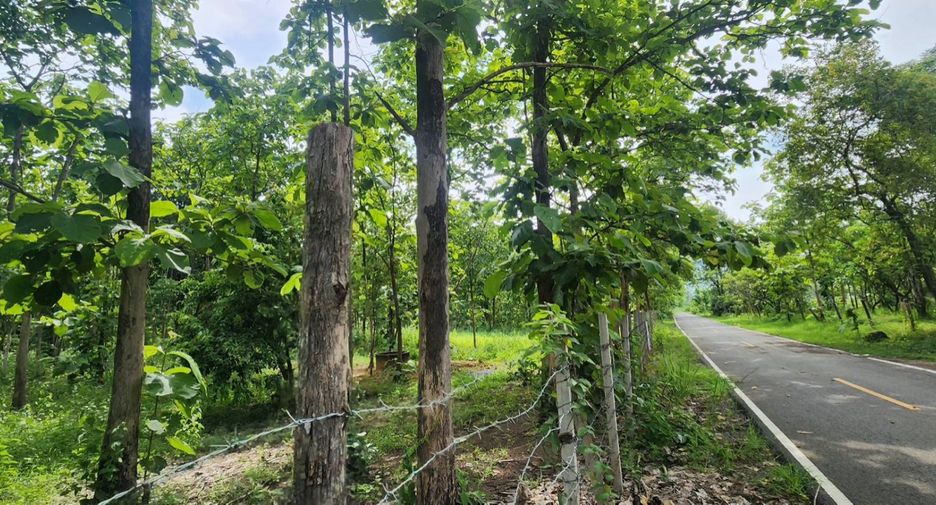 For sale land in Mae On, Chiang Mai
