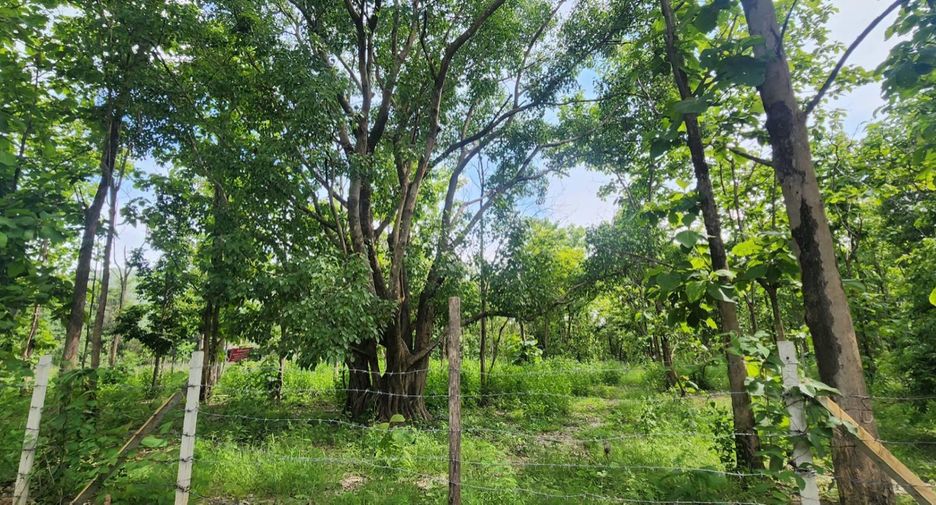 For sale land in Mae On, Chiang Mai