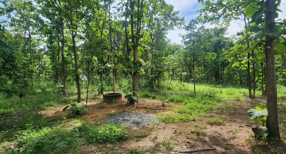 For sale land in Mae On, Chiang Mai