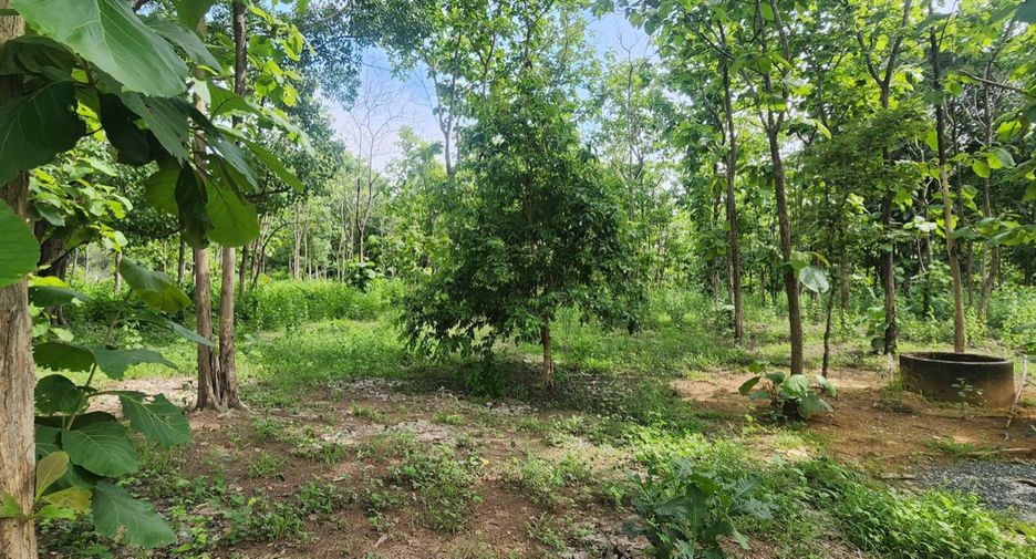 For sale land in Mae On, Chiang Mai
