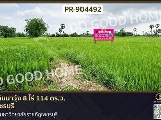 ขาย ที่ดิน ใน เมืองเพชรบุรี, เพชรบุรี