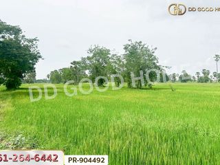 ขาย ที่ดิน ใน เมืองเพชรบุรี, เพชรบุรี