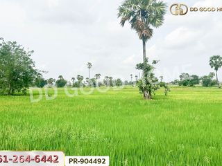 ขาย ที่ดิน ใน เมืองเพชรบุรี, เพชรบุรี