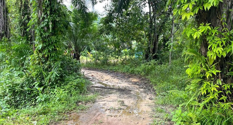 ขาย ที่ดิน ใน ตะกั่วทุ่ง, พังงา