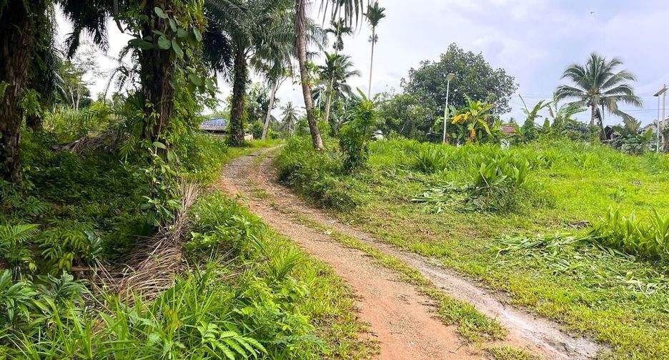 ขาย ที่ดิน ใน ตะกั่วทุ่ง, พังงา