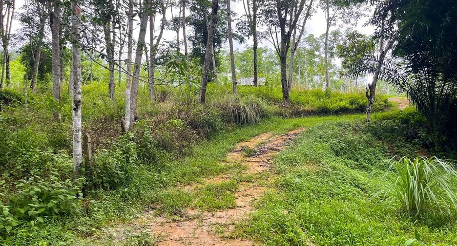 ขาย ที่ดิน ใน ตะกั่วทุ่ง, พังงา