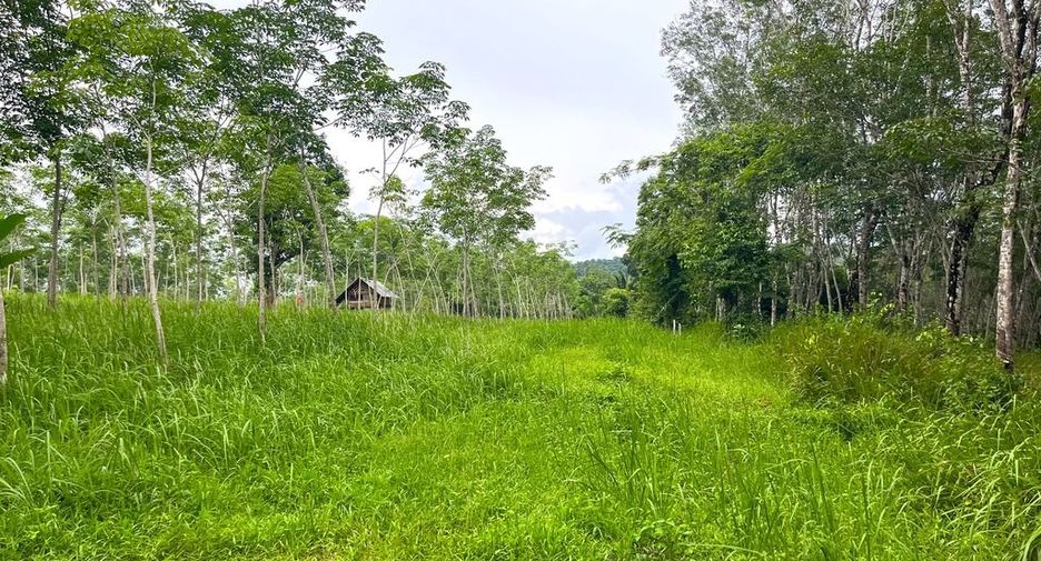 ขาย ที่ดิน ใน ตะกั่วทุ่ง, พังงา