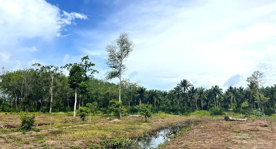 For sale land in Takua Thung, Phang Nga