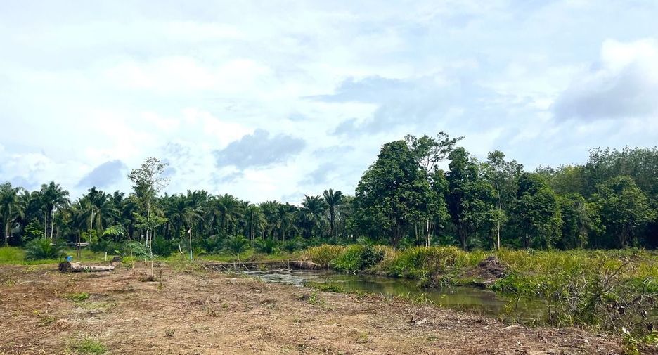 For sale land in Takua Thung, Phang Nga