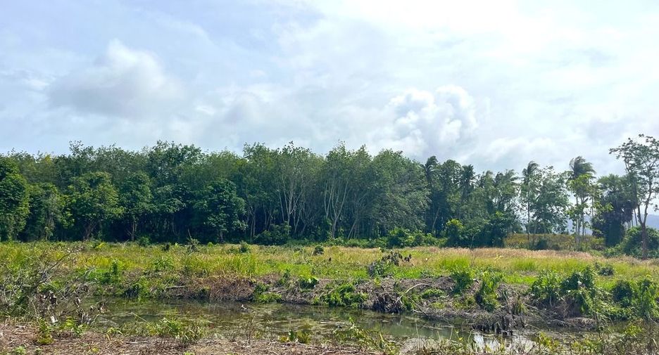 For sale land in Takua Thung, Phang Nga