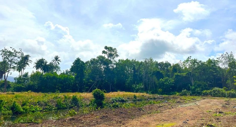 For sale land in Takua Thung, Phang Nga