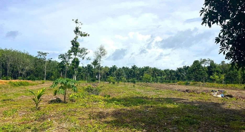 For sale land in Takua Thung, Phang Nga