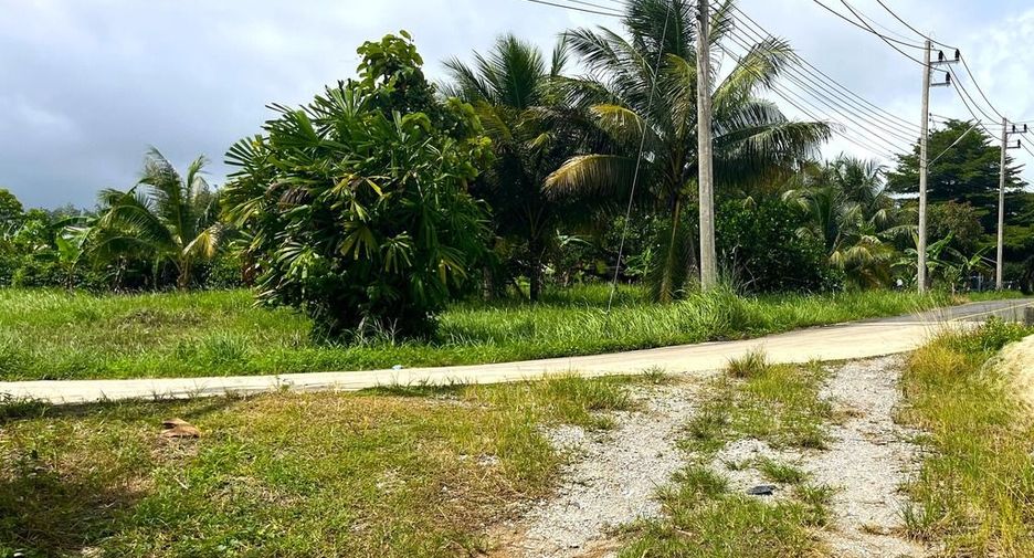 For sale land in Takua Thung, Phang Nga