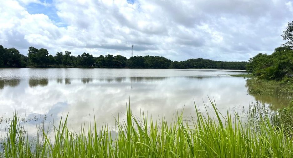 For sale land in Takua Thung, Phang Nga