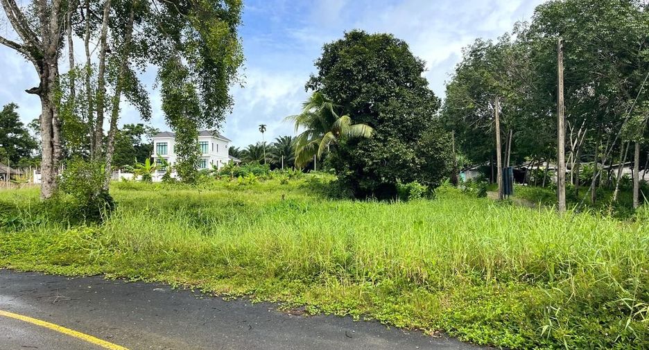 For sale land in Takua Thung, Phang Nga