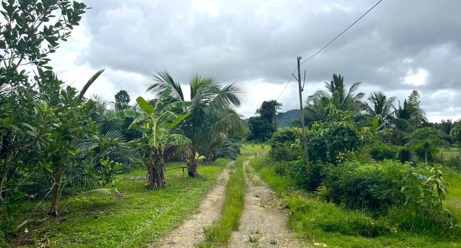 For sale land in Thai Mueang, Phang Nga
